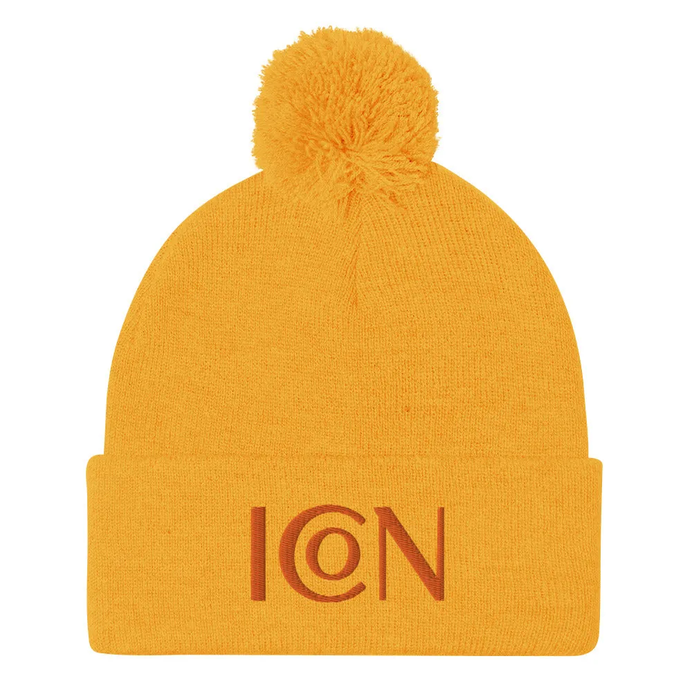 Funique 46 Pom-Pom Beanie