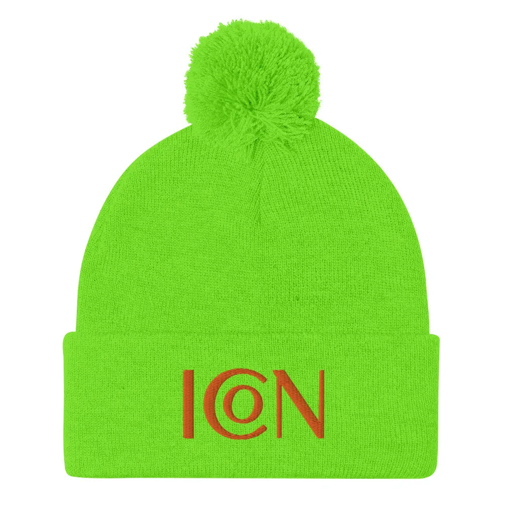 Funique 46 Pom-Pom Beanie