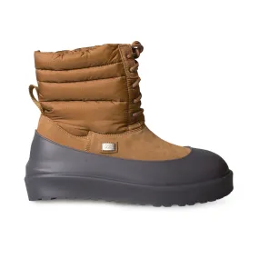 UGG Chestnut Boots - Men's | Stampd's Lace Up